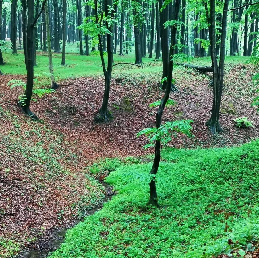 Villa Ranczo W Dolinie Karpia - Blisko "Energylandii" Zator Spytkowice  Esterno foto