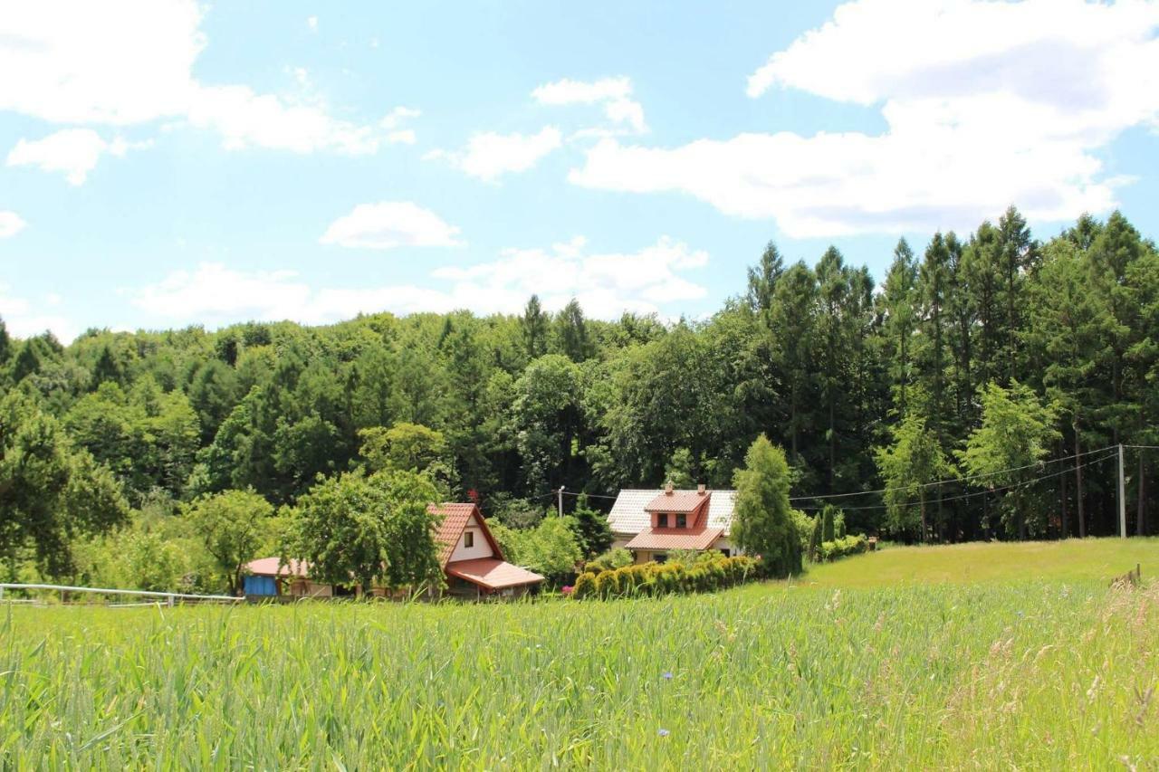Villa Ranczo W Dolinie Karpia - Blisko "Energylandii" Zator Spytkowice  Esterno foto